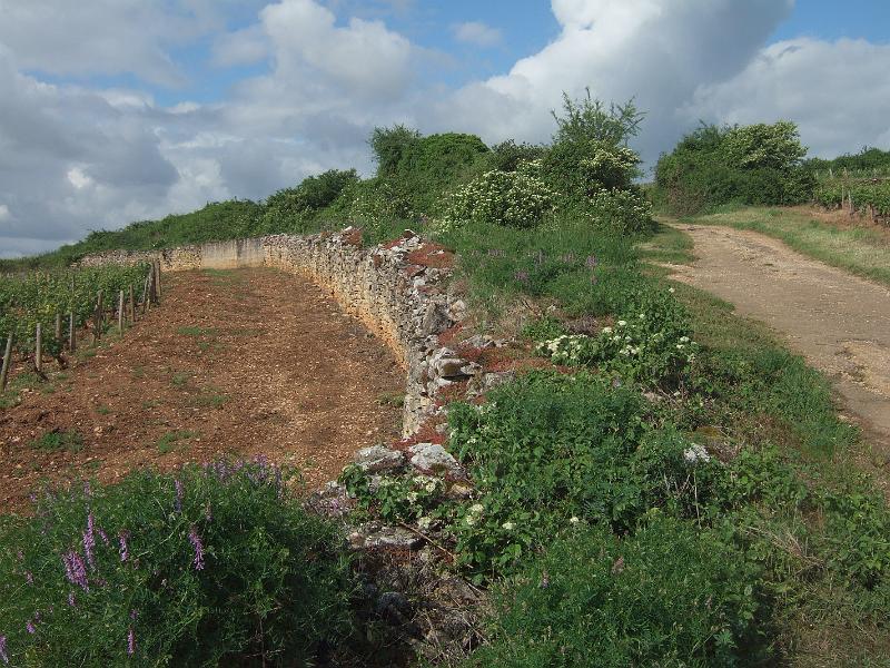 2010-05- (26).JPG